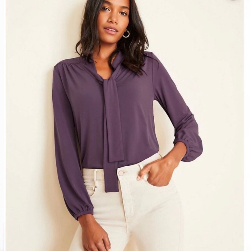 Ann Taylor Matte Jersey Tie Neck Purple Blouse S